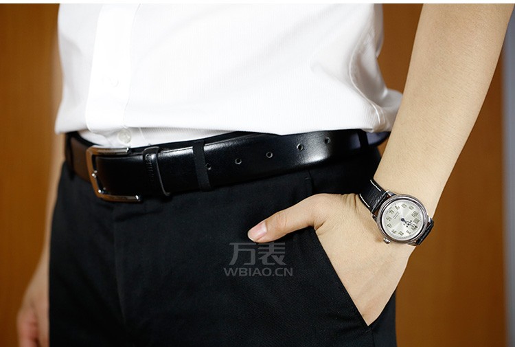 时度-复古系列 D116SSV 男士机械表（附送一条表带） 手模