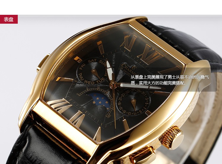 瑞士查梅斯charmex-LUCERNE系列 2007 男士石英表 表盘