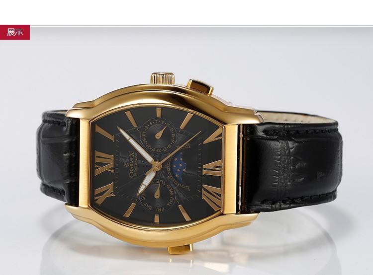 瑞士查梅斯charmex-LUCERNE系列 2007 男士石英表