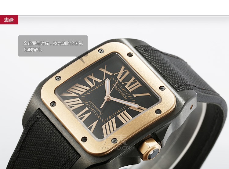 卡地亚Cartier-SANTOS系列 W2020009 男士机械表 表盘