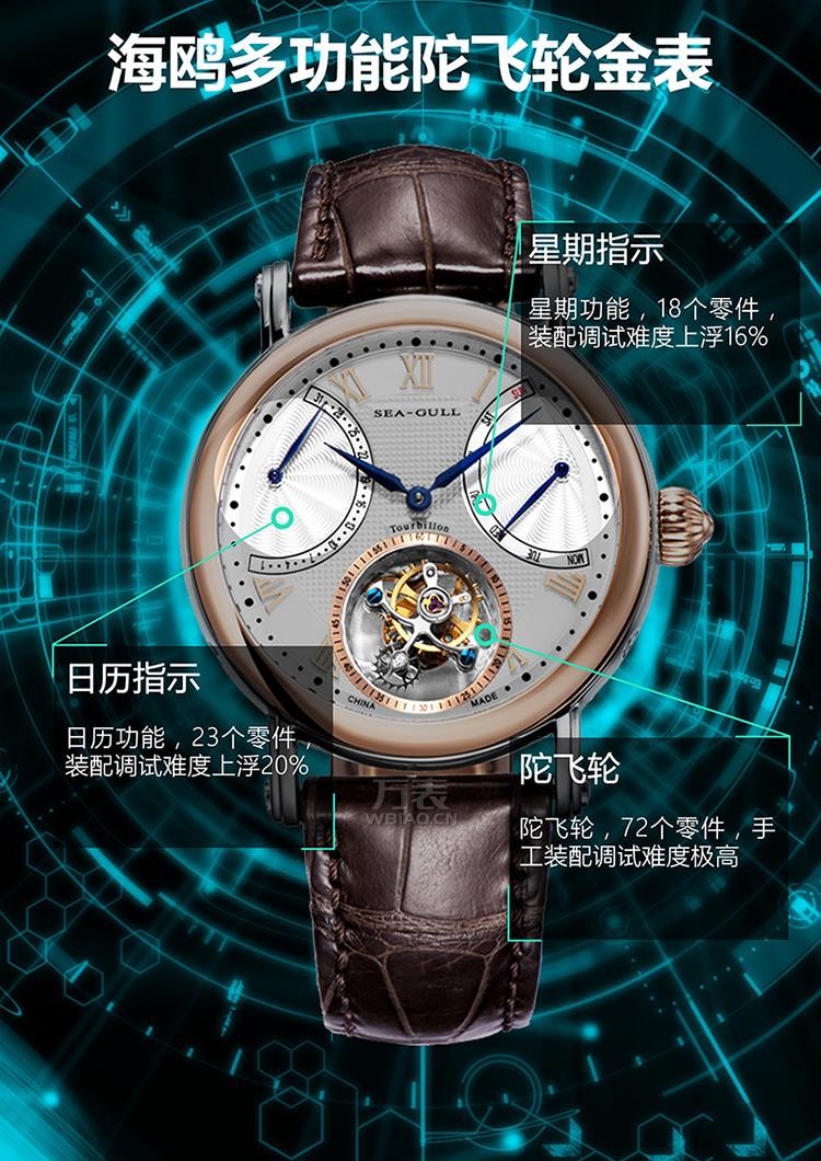 海鸥表Sea-gull-陀飞轮系列 218.904 自动机械男表